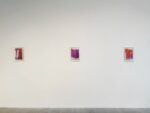 Damiano Colombi, L'illustre ignoto. Installation view at LAMB, Mestre, 2025.