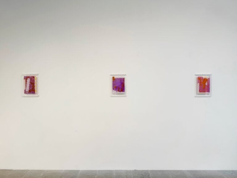 Damiano Colombi, L'illustre ignoto. Installation view at LAMB, Mestre, 2025.