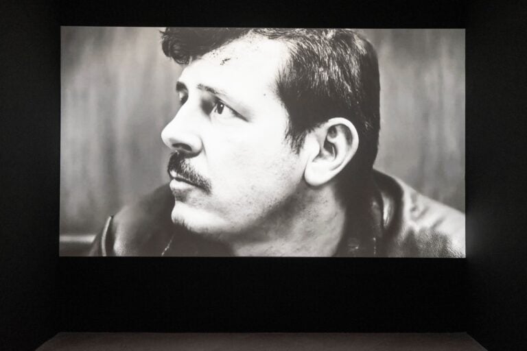 Installation View, Spettri Digitali, Museo Madre Napoli, Ph Amedeo Benestante, Premio Fondazione Thorel, Alterazioni Video, Rotten Sharks, 2025 (film)