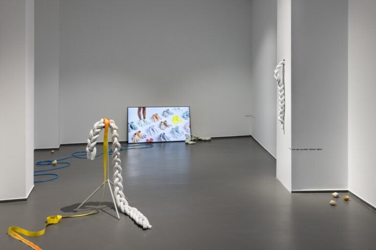 Elisa Giardina Papa, Installation view, foto di Gianluca di Ioia