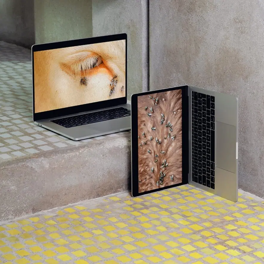 Formafantasma al Negozio Olivetti, Venezia, 2025