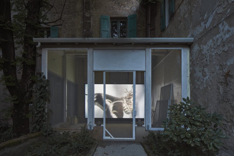 giorgio andreotta calo icarus palazzo bentivoglio bologna ph carlo favero 1 A Bologna nello storico Palazzo Bentivoglio c’è una grande voliera con decine di bozzoli di falene
