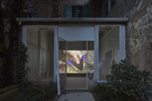 A Bologna nello storico Palazzo Bentivoglio c’è una grande voliera con decine di bozzoli di falene
