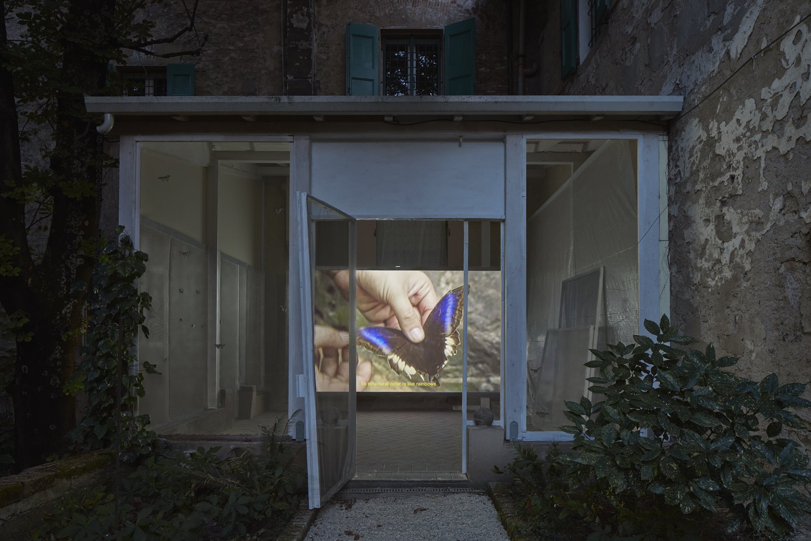https://www.artribune.com/wp-content/uploads/2025/06/giorgio-andreotta-calo-icarus-palazzo-bentivoglio-bologna-ph-carlo-favero-10-1.jpg