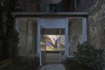 giorgio andreotta calo icarus palazzo bentivoglio bologna ph carlo favero 10 A Bologna nello storico Palazzo Bentivoglio c’è una grande voliera con decine di bozzoli di falene