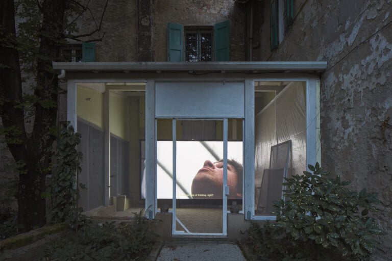 giorgio andreotta calo icarus palazzo bentivoglio bologna ph carlo favero 2 A Bologna nello storico Palazzo Bentivoglio c’è una grande voliera con decine di bozzoli di falene