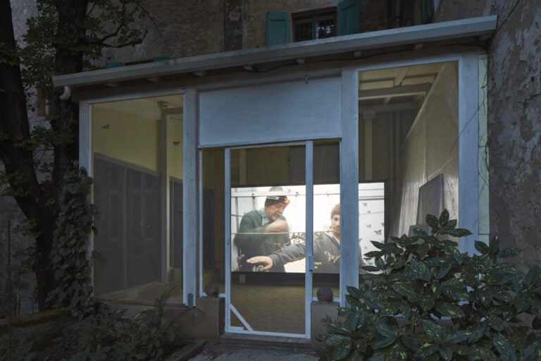 giorgio andreotta calo icarus palazzo bentivoglio bologna ph carlo favero 4 A Bologna nello storico Palazzo Bentivoglio c’è una grande voliera con decine di bozzoli di falene
