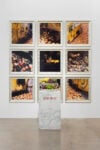 Gu Dexin - 2006-09-02 2006 marble metal ware 9 framed photographs fruits, 73 x 73 cm each and 50 x 50 x 85 cm. Photo- Dong Lin
