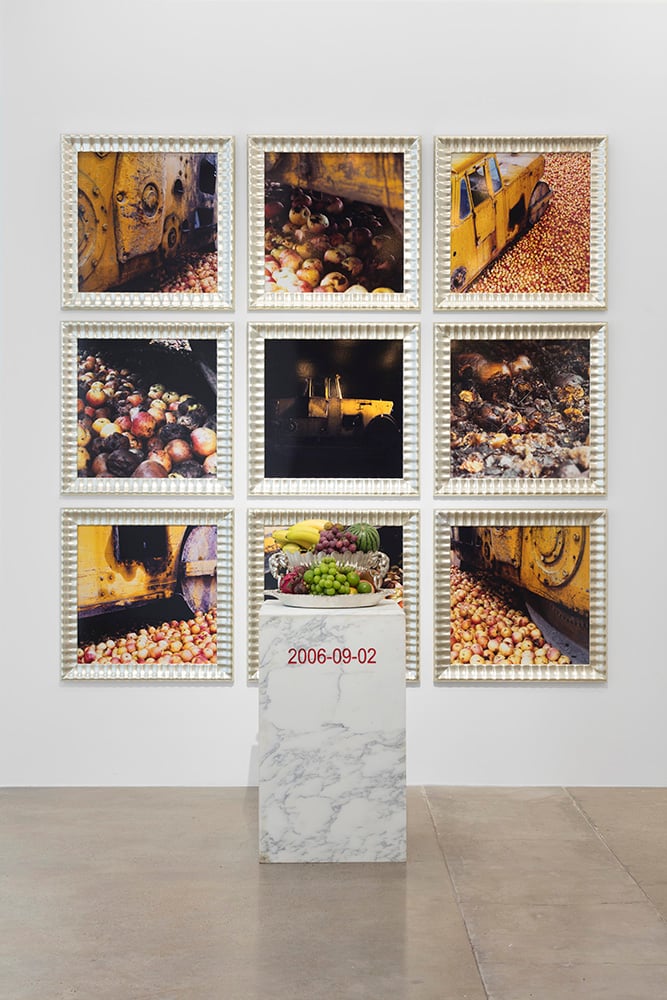 Gu Dexin - 2006-09-02 2006 marble metal ware 9 framed photographs fruits, 73 x 73 cm each and 50 x 50 x 85 cm. Photo- Dong Lin