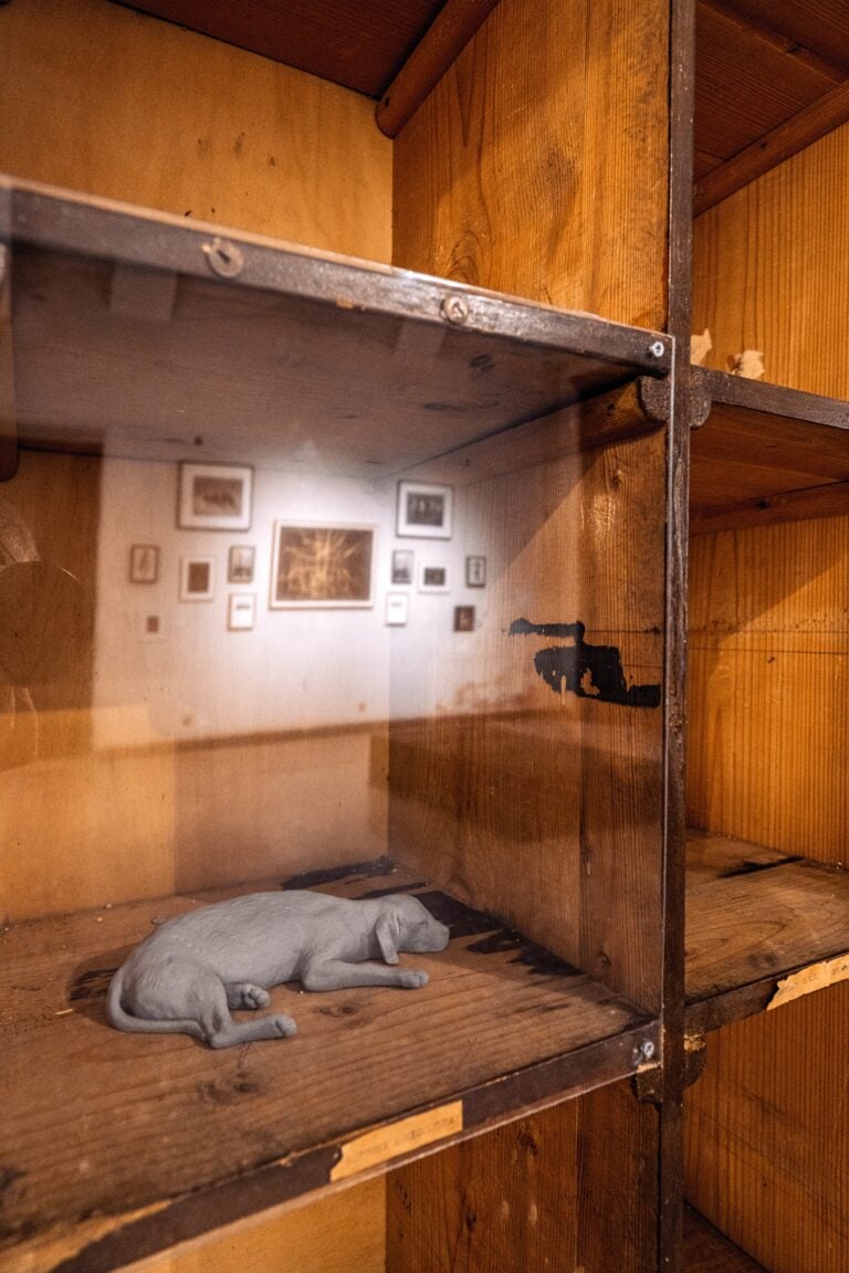 Mostra "Ecosistemi dell'arte" a Villa Zerbi a Reggio Calabria (Hans Op de Beek)