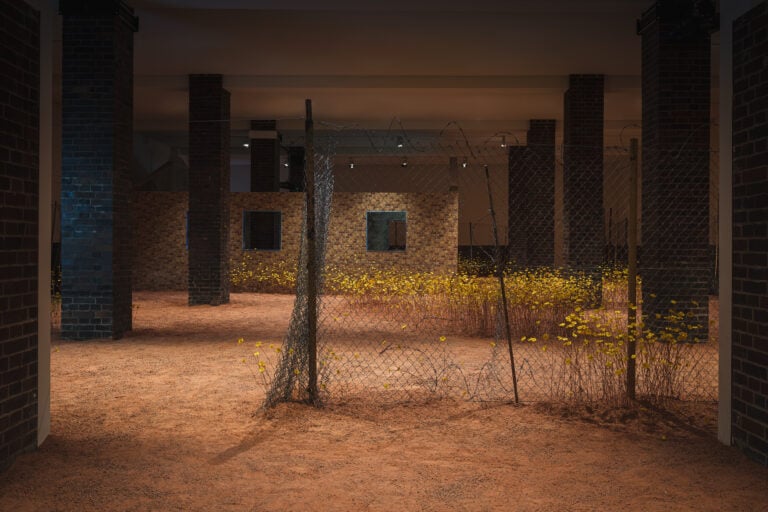 Helena Uambembe View of the installation Blooming in Stasis 25.8230° S, 23.5312° E, 2023 Courtesy of the artist Photo: Wolfgang Stahr