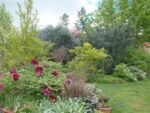 i giardini di fabrizio sintoni e luca bacci 3 Il giardino come ecosistema sperimentale. Da Forlì la storia di Fabrizio Sintoni e Luca Bacci