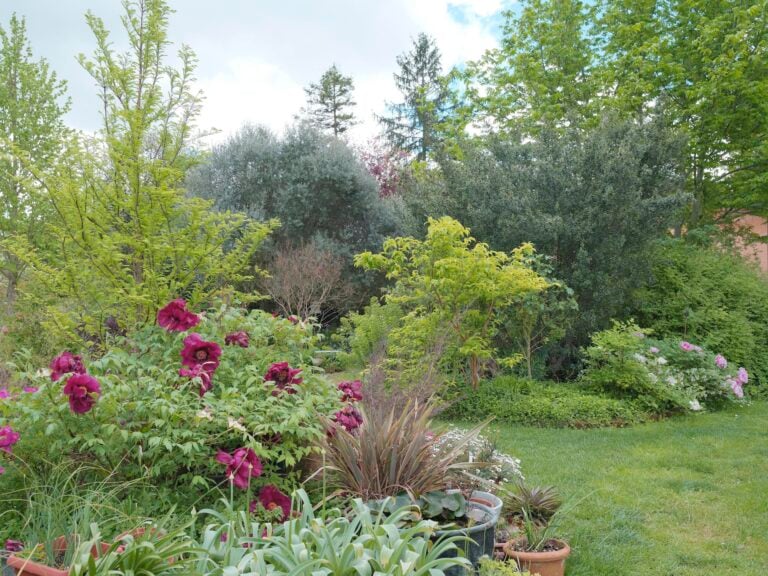 i giardini di fabrizio sintoni e luca bacci 3 Il giardino come ecosistema sperimentale. Da Forlì la storia di Fabrizio Sintoni e Luca Bacci
