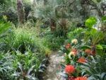 Il giardino come ecosistema sperimentale. Da Forlì la storia di Fabrizio Sintoni e Luca Bacci