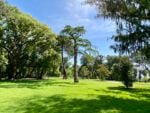 Il Real Bosco di Capodimonte ritrova il Giardino dei Principi: un parco pubblico per Napoli tra storia e sostenibilità