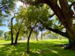 Il Giardino dei Principi nel Real Bosco di Capodimonte