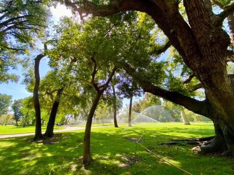 Il Giardino dei Principi nel Real Bosco di Capodimonte