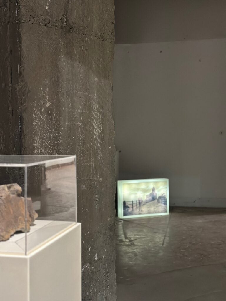 Mostra "Ecosistemi dell'arte" a Villa Zerbi a Reggio Calabria (Karmil Cardone)