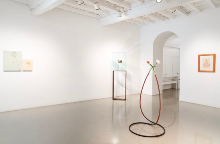 La tempesta nel bicchiere, installation view at Francesca Antonini, Roma, 2025