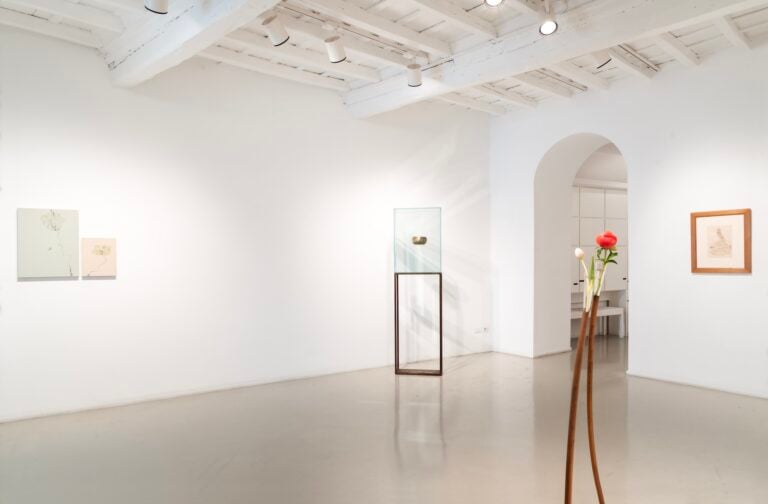 La tempesta nel bicchiere, installation view at Francesca Antonini, Roma, 2025