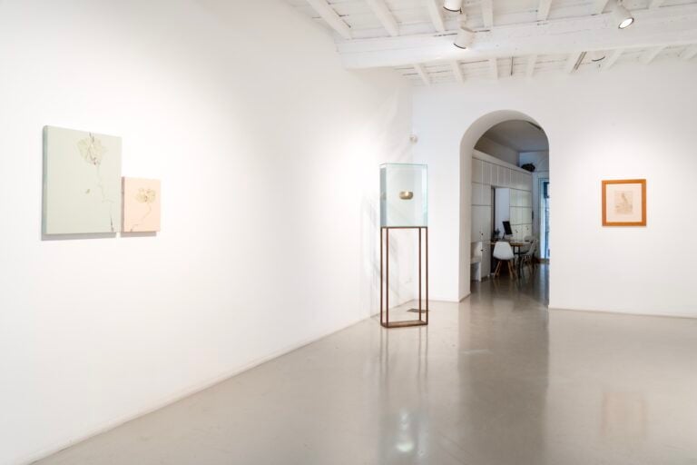 La tempesta nel bicchiere, installation view at Francesca Antonini, Roma, 2025