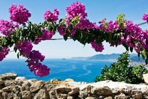 Le mostre da vedere in Liguria per l’estate 2025