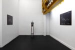 Mark Dion, The Melancholy Entomologist and Tales of Ecological Despair, installation view, Genova, 2025