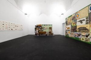 Pesci in via d’estinzione e minacce ambientali. Parla Mark Dion in mostra a Genova