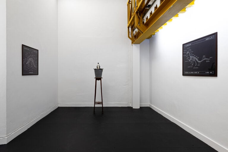 Mark Dion, The Melancholy Entomologist and Tales of Ecological Despair, installation view, Genova, 2025