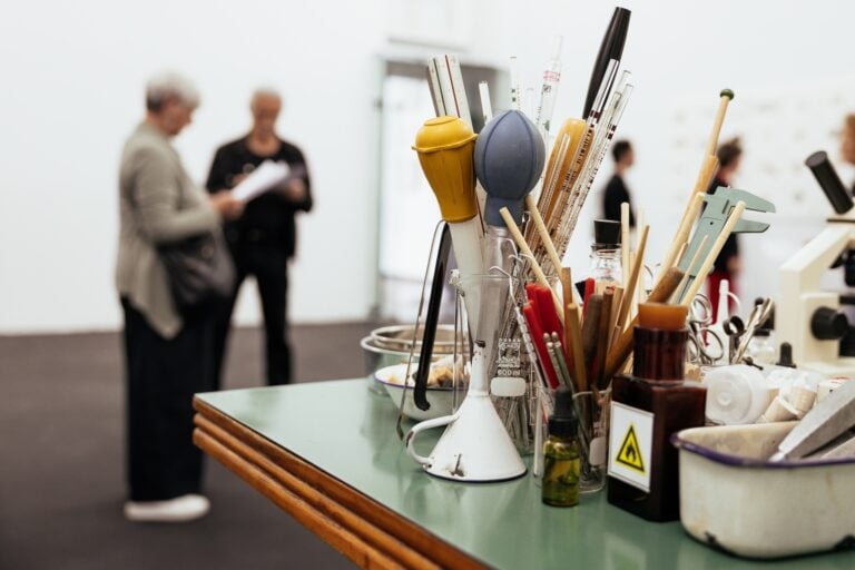 Mark Dion, The Melancholy Entomologist and Tales of Ecological Despair, installation view, Genova, 2025
