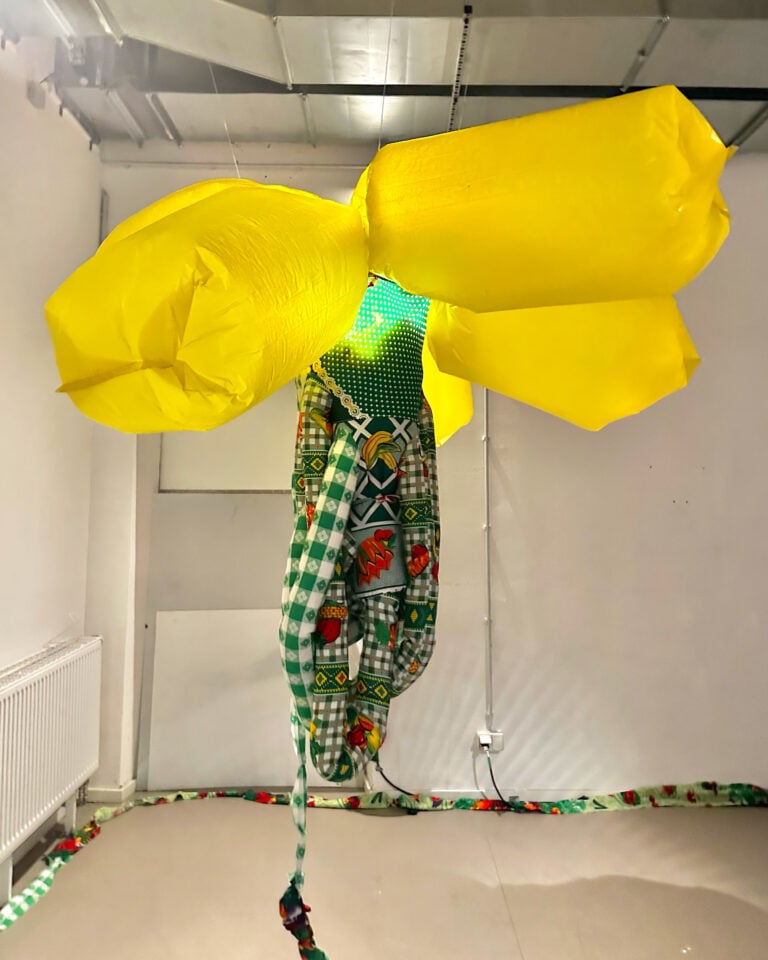 Marta Torres, Existiendo Excesivamente, 2025, Courtesy The Artist & Kates-Ferri Projects, New York