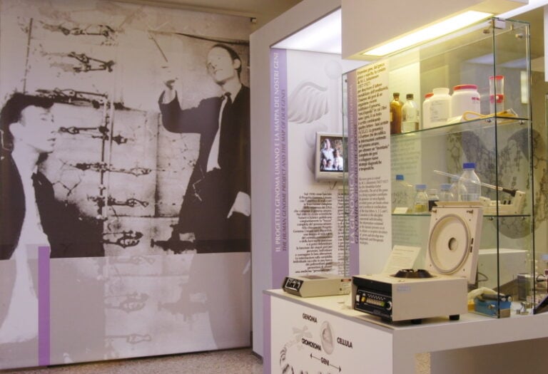 Museo della Storia della Medicina, Polo Museale La Sapienza