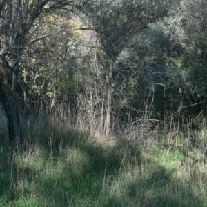 Nature speaks