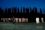 Paolo Mazzarelli (Creonte) e Massimo Nicolini (Teseo), Foto Michele Pantano, Teatro Greco di Siracursa, Fondazione INDA