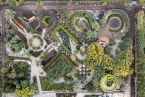 Il futuro è un giardino di piante spontanee. Intervista al paesaggista Antonio Perazzi