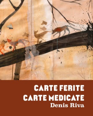 Denis Riva - Carte Ferite Carte Medicate