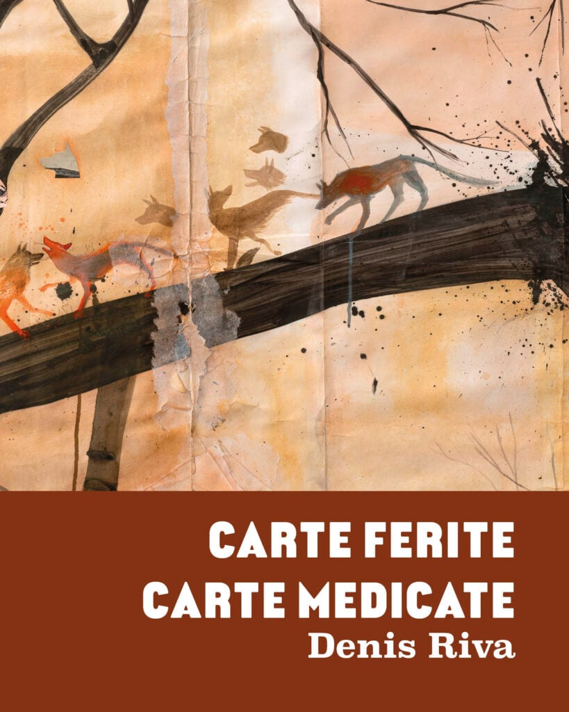 Denis Riva – Carte Ferite Carte Medicate