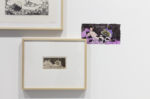 schermata 2025 06 24 alle 192226 Nella Svizzera francese due musei sfidano gli stereotipi della periferia culturale tra arte contemporanea e partecipazione 