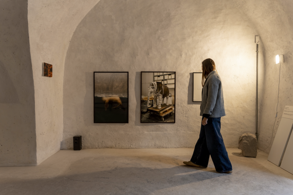Dall'Antropocene al Biocene archivio MUSE (Matteo De Stefano)