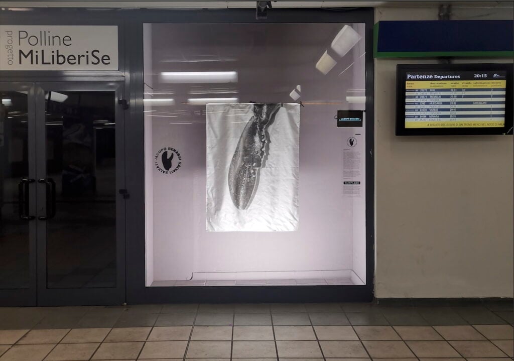 Un esperimento d’arte pubblica nella stazione del treno regionale. La storia di Subplace a Milano