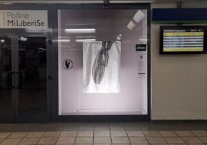 Un esperimento d’arte pubblica nella stazione del treno regionale. La storia di Subplace a Milano 