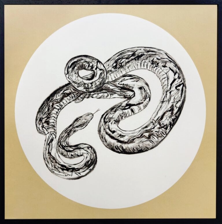 The Shedding Skin, 2025, mixed media on paper, 68 x 68