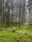 trentino alto adigesopralluogo a lusernaph valerio panella Fare arte e comunità nei borghi italiani: in arrivo la sesta edizione di “Una Boccata d’Arte” 