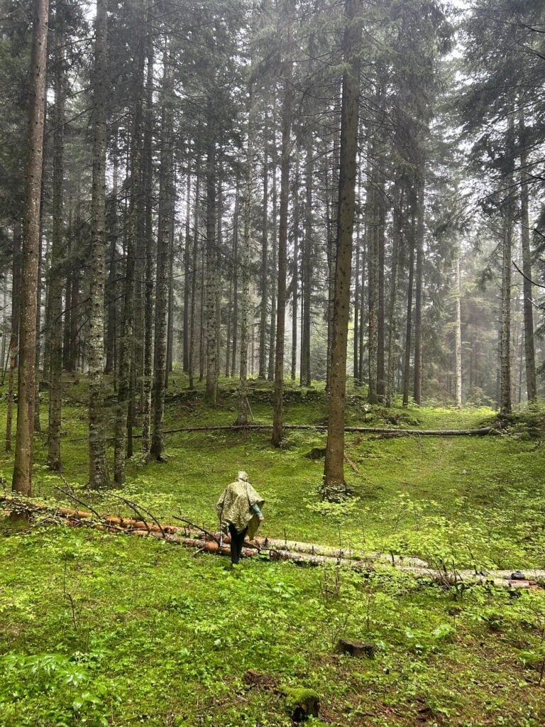 trentino alto adigesopralluogo a lusernaph valerio panella Fare arte e comunità nei borghi italiani: in arrivo la sesta edizione di “Una Boccata d’Arte”