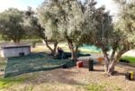 L’olio d’oliva come simbolo del Mediterraneo. La mostra al Museo archeologico Nazionale della Sibaritide
