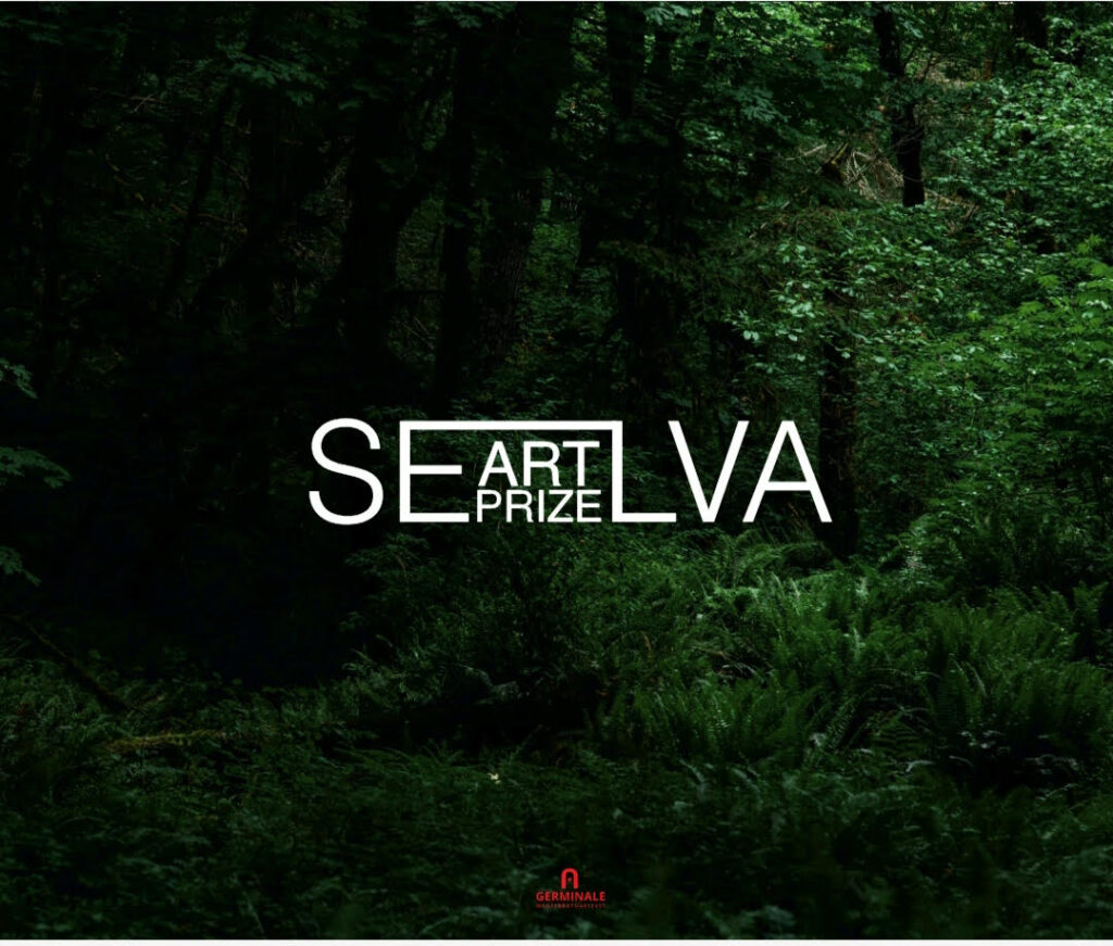 Selva Art Prize