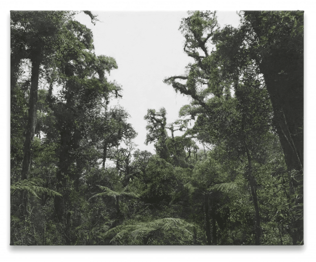 Haley Mellin – Siamo Natura