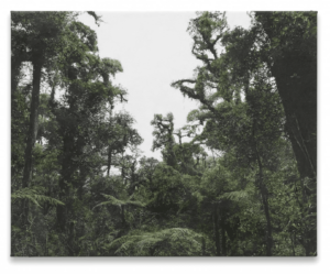 Haley Mellin - Siamo Natura