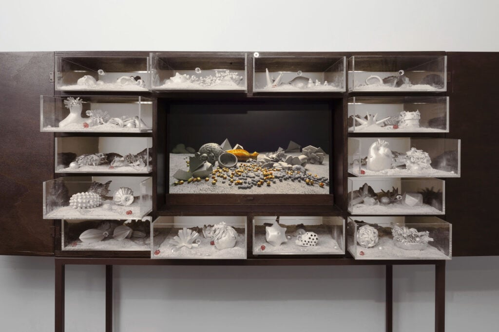 Giuliana Cunéaz – Wunderkammer Digitale