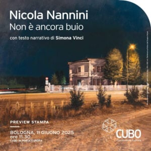 Nicola Nannini - Non è ancora buio